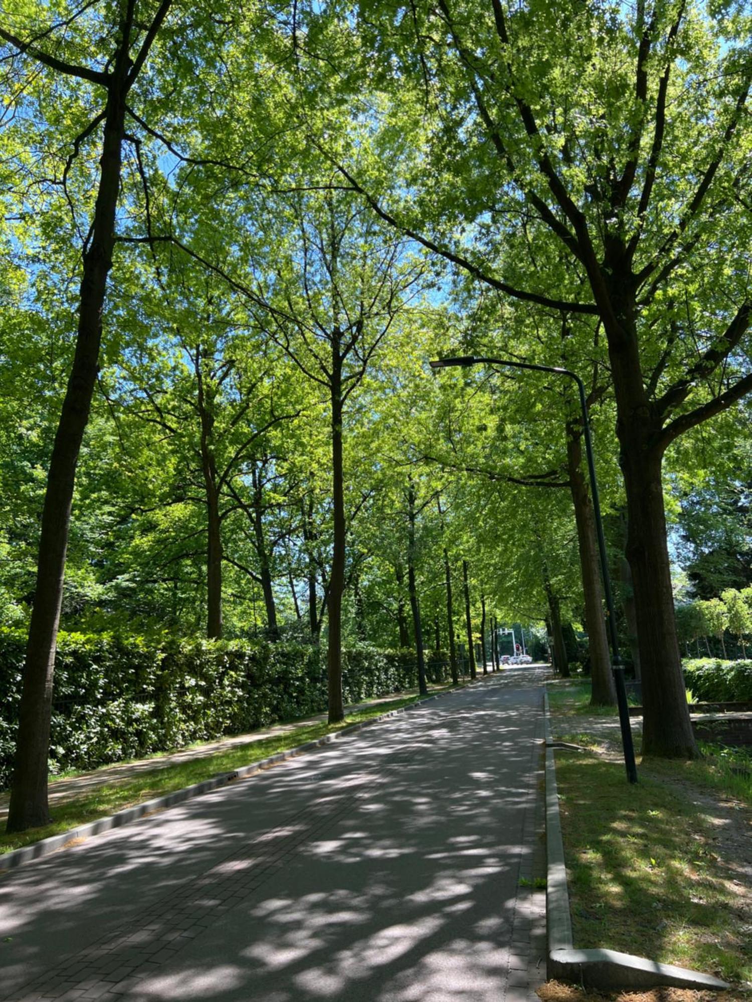 De Merel フト エクステリア 写真